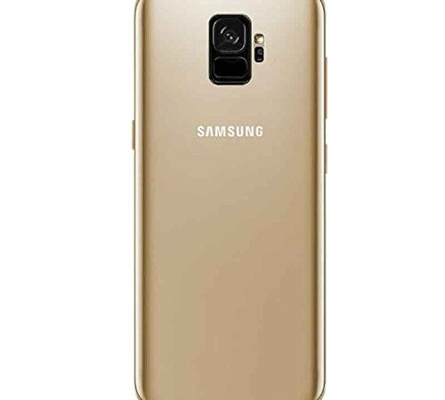 Voor Samsung Galaxy S9 Plus achterkant glas  – Goud