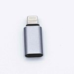 Type C naar 8 Pins male Adapter - Zilver