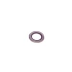 iPad 9.7 (2018) Achter Camera Lens - Premium OEM-Equivalent - Afbeelding 2