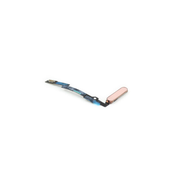 iPad mini 6 (2021) Aan/Uit-knop Kabel – Premium OEM-Equivalent
