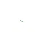 Samsung Galaxy S20+ Laadconnector FPC Premium OEM-Equivalent