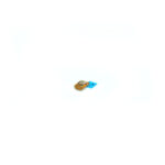 Samsung Galaxy S20 Ultra Microfoonmodule - Premium Service Pack