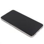 Samsung Galaxy S10e Display Complete Housing Premium Service Pack