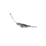 Proximity Sensor Flex Cable iPad Pro 11 (2021) - OEM-Equivalent - Afbeelding 2