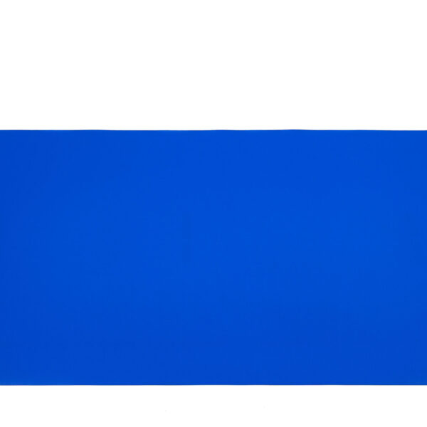 Premium ESD Werkmatscherm 1200×610mm met Studs - Royal Blue
