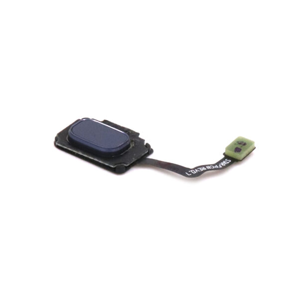 Samsung Galaxy S9 Plus Home Button Premium OEM-Equivalent Blauw