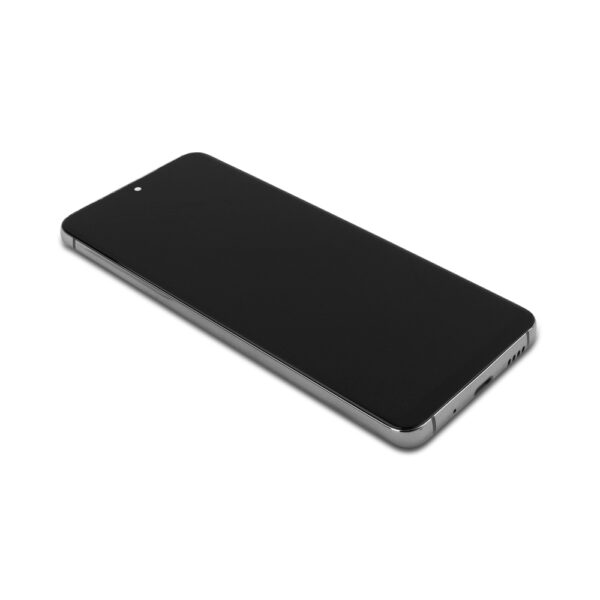 Samsung Galaxy S20 Premium AMOLED Display met Behuizing Cosmic Grey