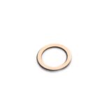 iPhone 6s Plus Achter Camera Lens Cover Zwart - Premium OEM-Kwaliteit - Afbeelding 2