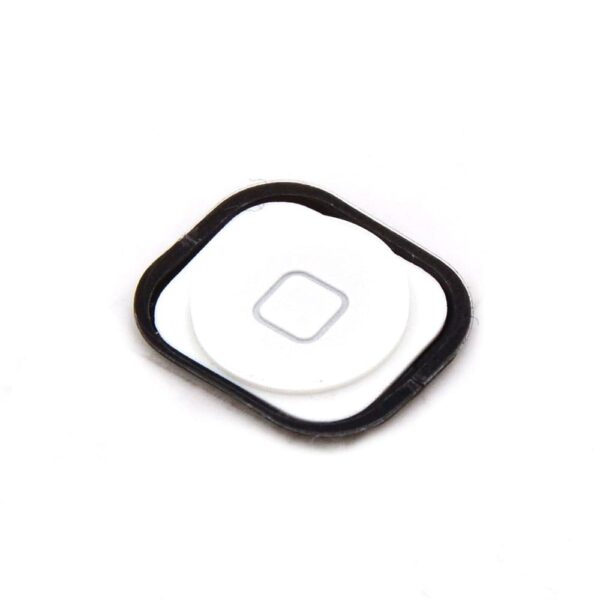 Home Button iPhone 5c Wit - Premium OEM-Equivalent Kwaliteit