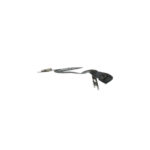 Proximity Sensor Flex Macbook Pro 16 A2141 Premium OEM - Afbeelding 2